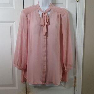 Elle Elegant dusty Pink Women's long sleeve sheer Blouse Sz XL
